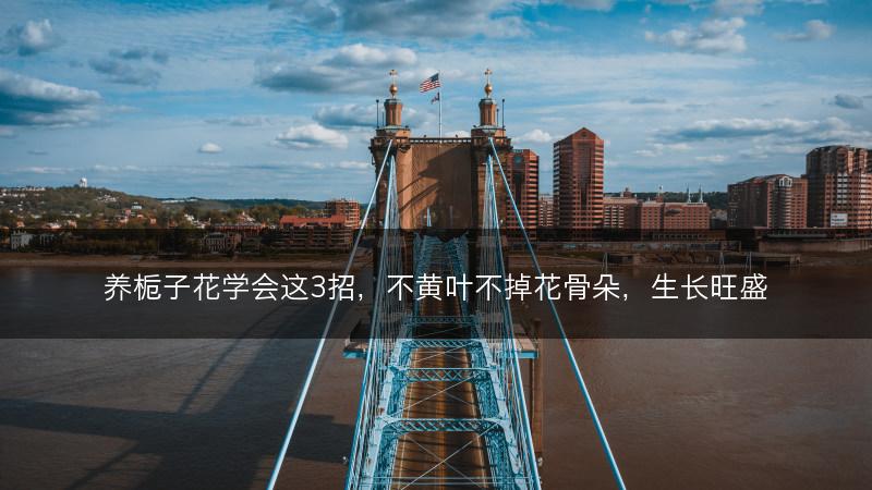 养栀子花学会这3招，不黄叶不掉花骨朵，生长旺盛(图1)