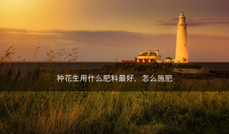 种花生用什么肥料最好，怎么施肥(图1)