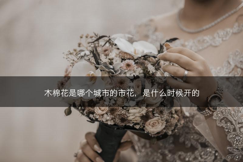 木棉花是哪个城市的市花，是什么时候开的(图1)