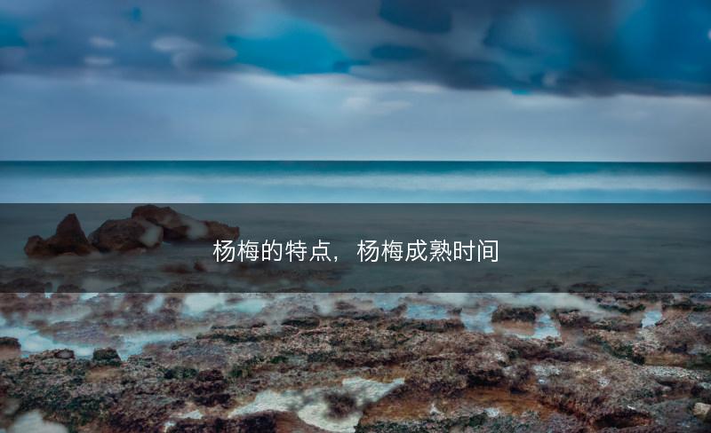 杨梅的特点，杨梅成熟时间(图1)