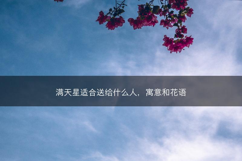 满天星适合送给什么人，寓意和花语(图1)