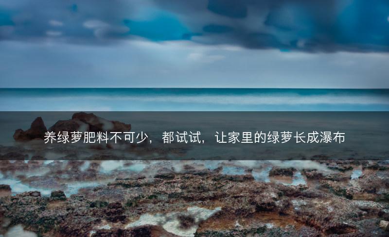 养绿萝肥料不可少，都试试，让家里的绿萝长成瀑布(图1)