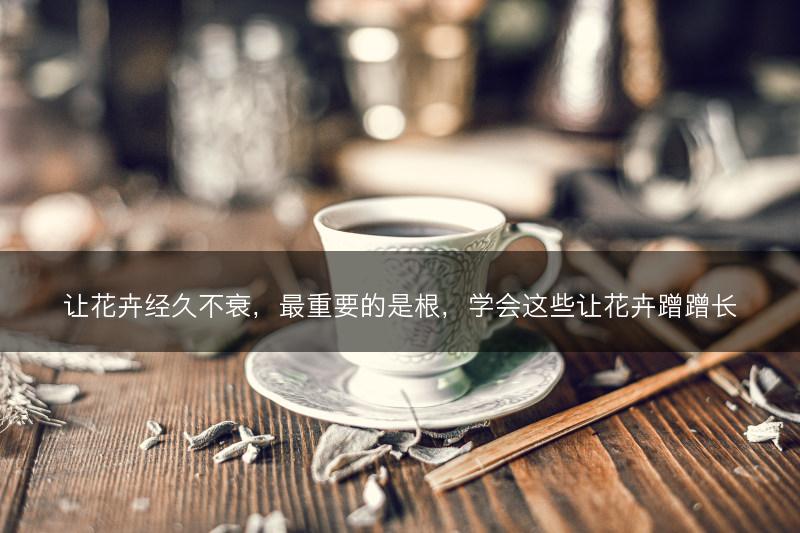 让花卉经久不衰，最重要的是根，学会这些让花卉蹭蹭长(图1)