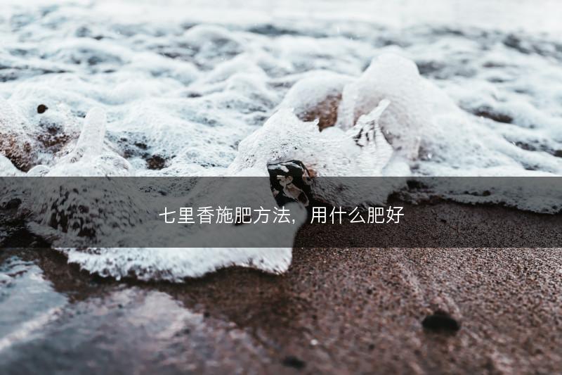 七里香施肥方法，用什么肥好(图1)
