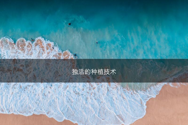 独活的种植技术(图1)