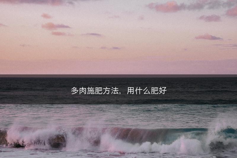 多肉施肥方法，用什么肥好(图1)