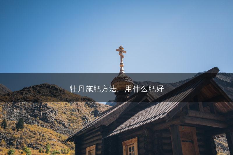 牡丹施肥方法，用什么肥好(图1)