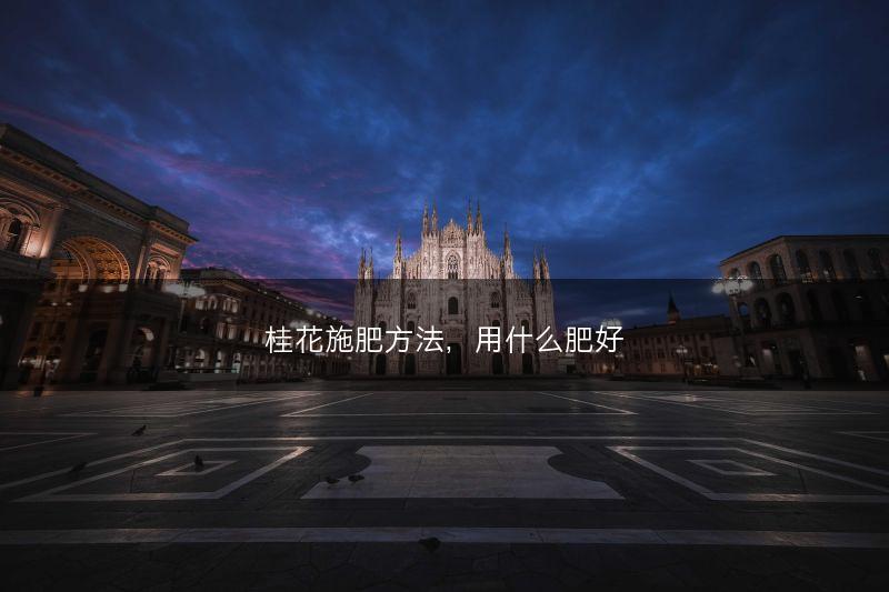 桂花施肥方法，用什么肥好(图1)