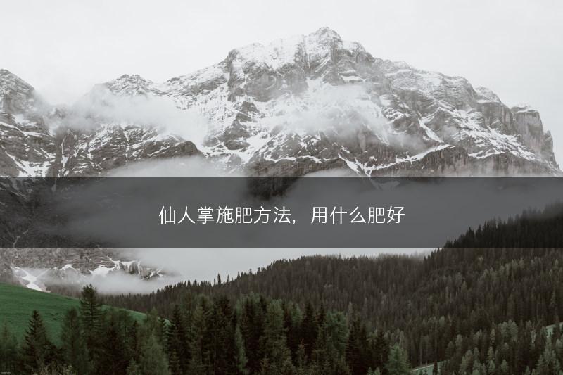 仙人掌施肥方法，用什么肥好(图1)