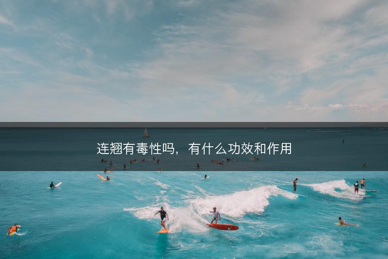 连翘有毒性吗，有什么功效和作用(图1)