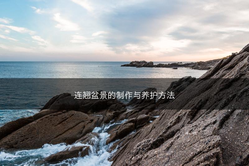 连翘盆景的制作与养护方法(图1)