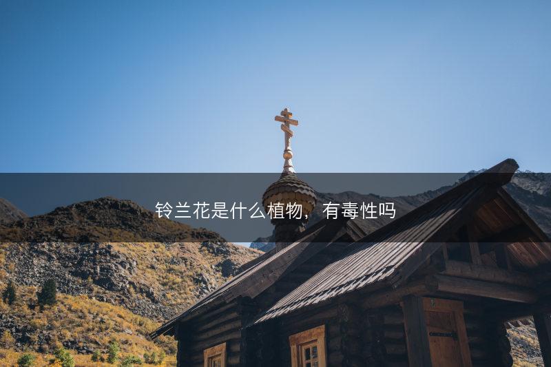 铃兰花是什么植物，有毒性吗(图1)