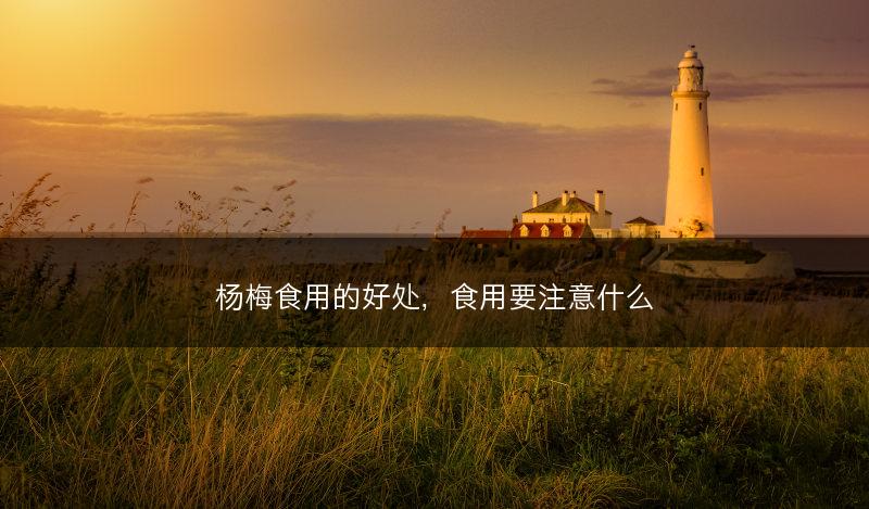 杨梅食用的好处，食用要注意什么(图1)