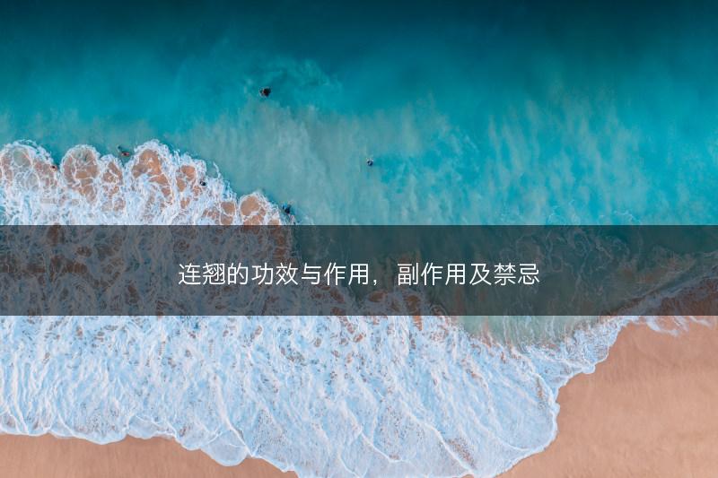 连翘的功效与作用，副作用及禁忌(图1)