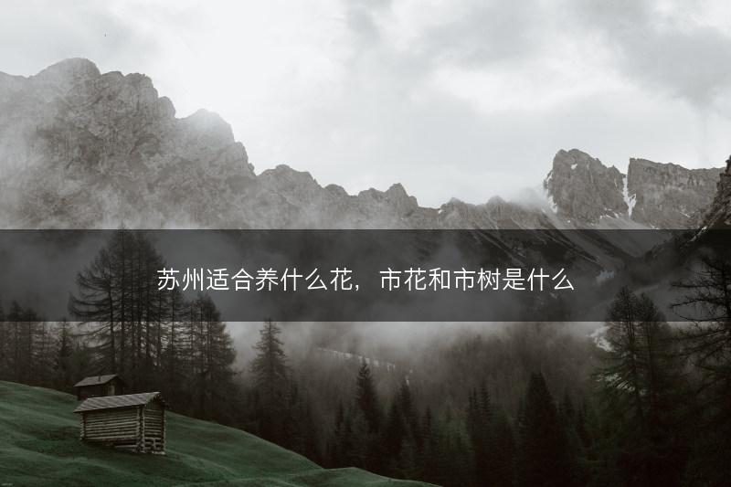 苏州适合养什么花，市花和市树是什么(图1)