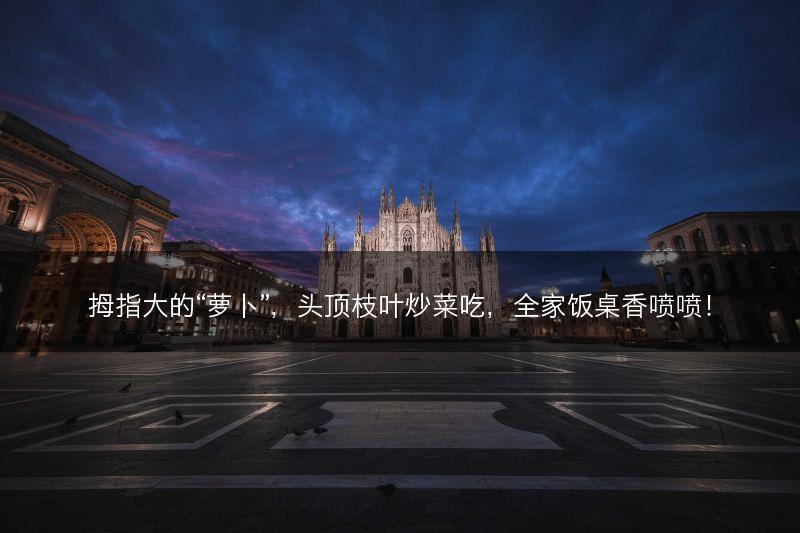 拇指大的“萝卜”，头顶枝叶炒菜吃，全家饭桌香喷喷！(图1)