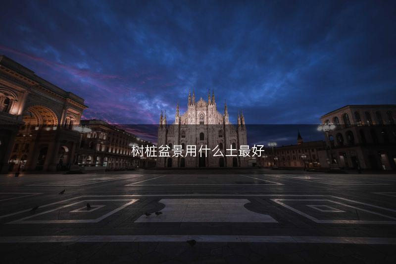 树桩盆景用什么土最好(图1)