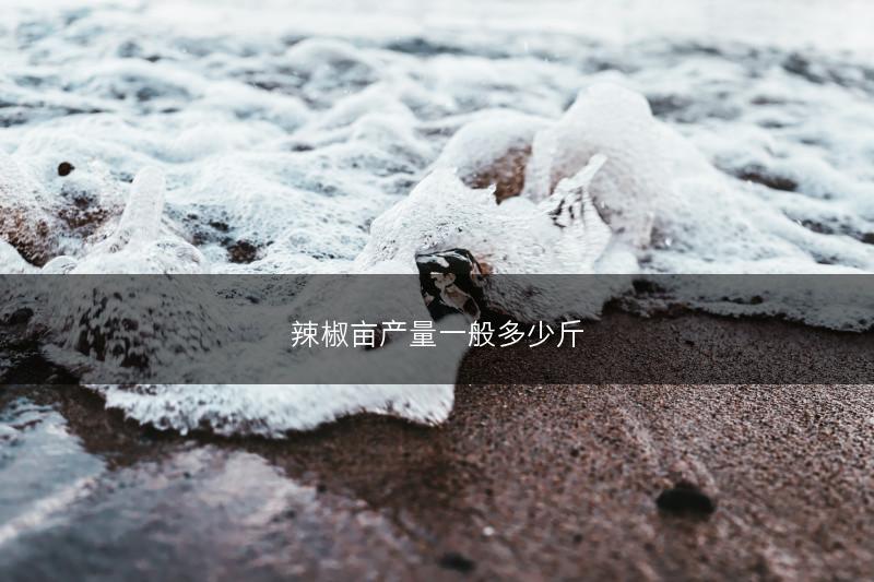 辣椒亩产量一般多少斤(图1)