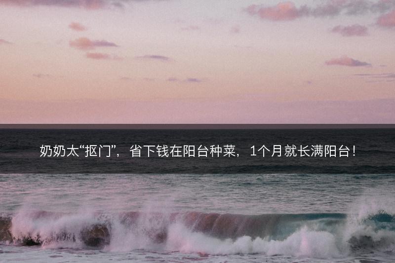 奶奶太“抠门”，省下钱在阳台种菜，1个月就长满阳台！(图1)