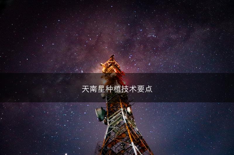 天南星种植技术要点(图1)
