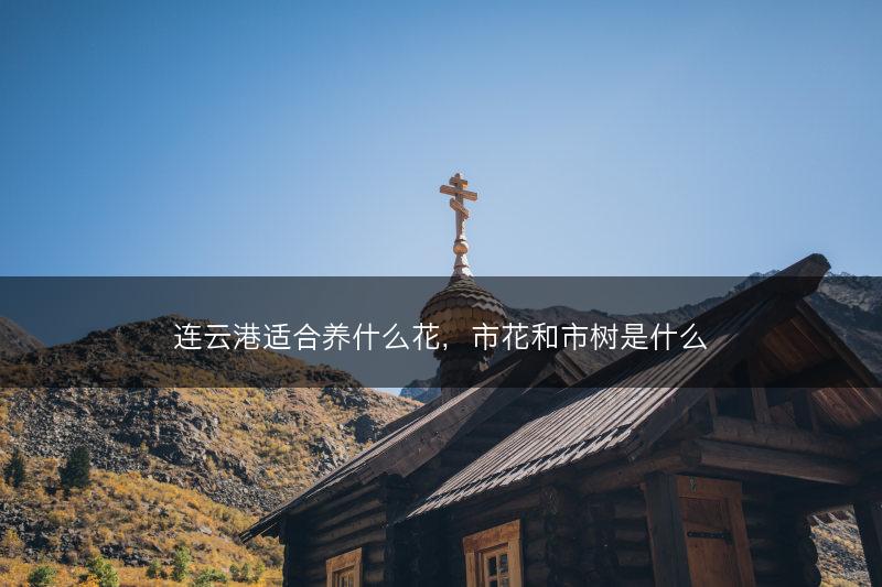 连云港适合养什么花，市花和市树是什么(图1)