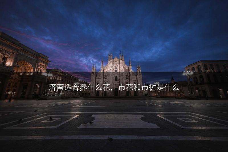 济南适合养什么花，市花和市树是什么(图1)