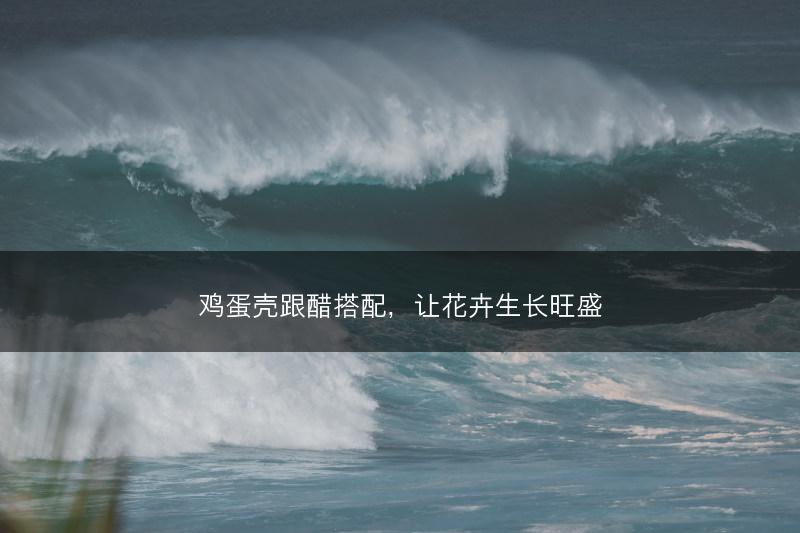 鸡蛋壳跟醋搭配，让花卉生长旺盛(图1)