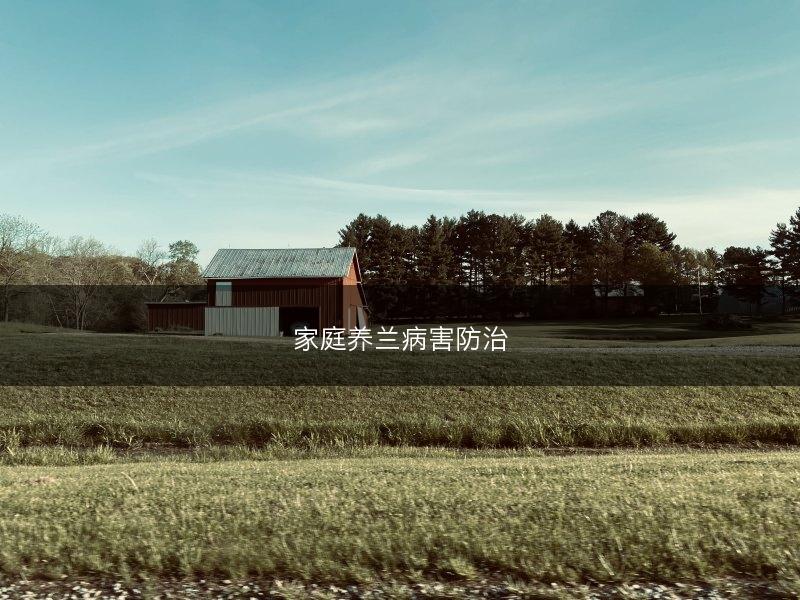 家庭养兰病害防治(图1)