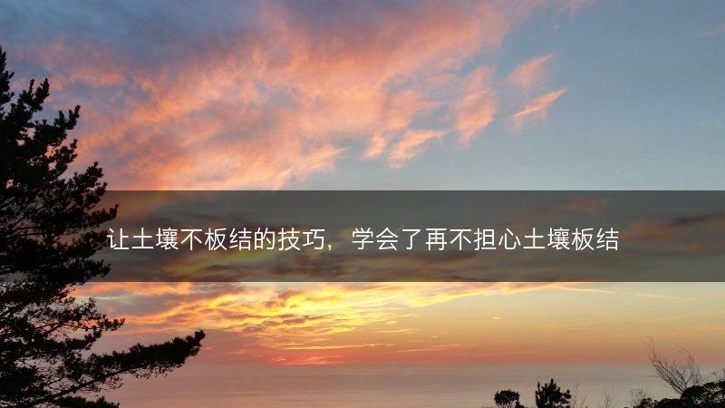 让土壤不板结的技巧，学会了再不担心土壤板结(图1)