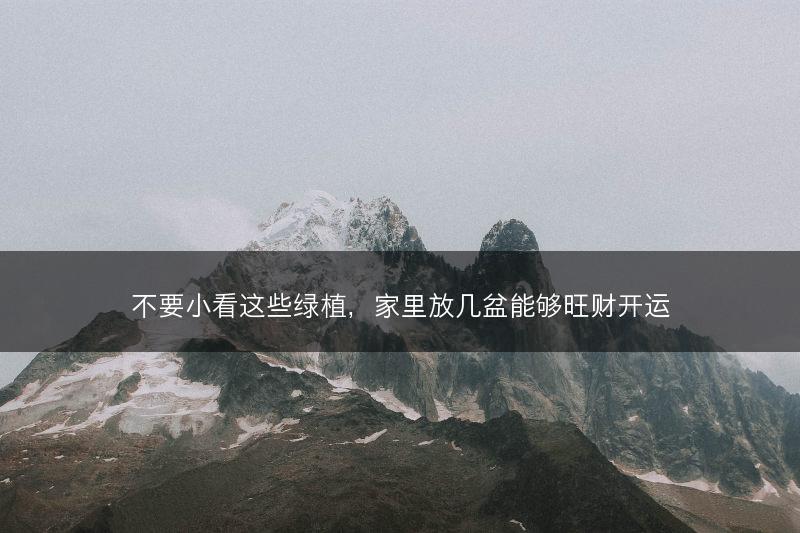 不要小看这些绿植，家里放几盆能够旺财开运(图1)