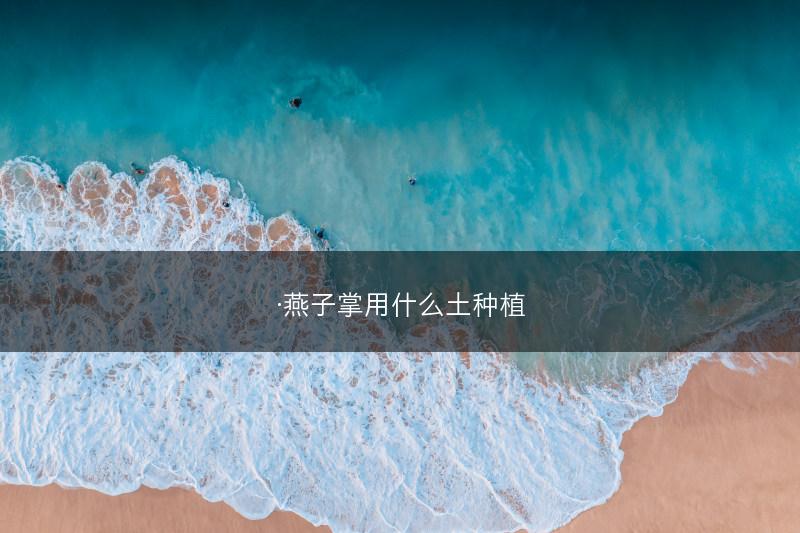 ·燕子掌用什么土种植(图1)