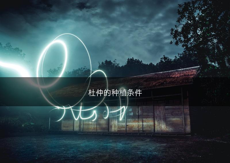 杜仲的种植条件(图1)