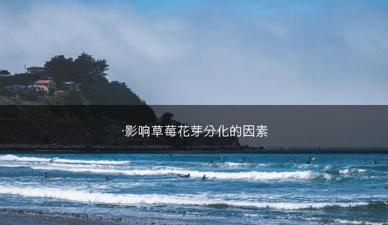 ·影响草莓花芽分化的因素(图1)