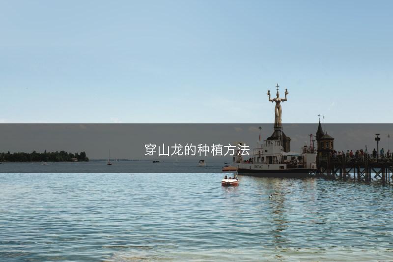 穿山龙的种植方法(图1)
