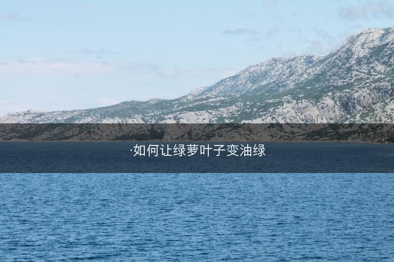 ·如何让绿萝叶子变油绿(图1)