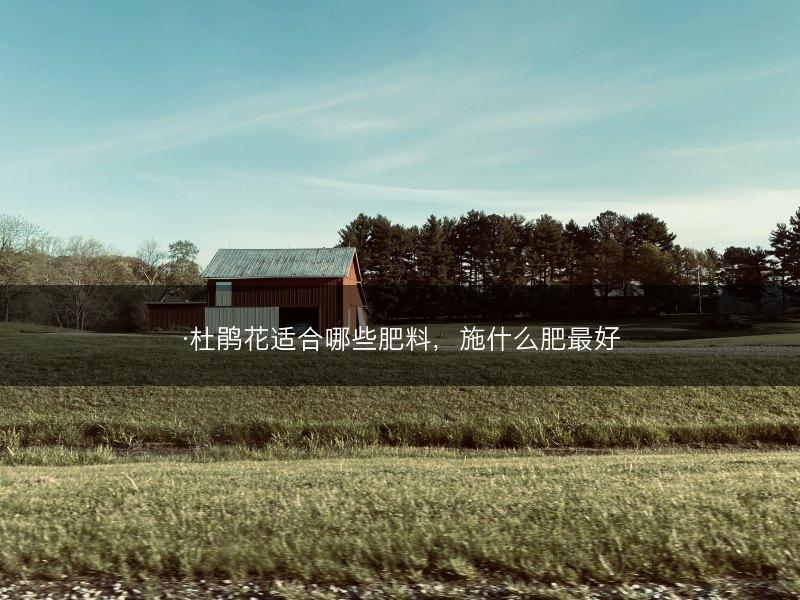 ·杜鹃花适合哪些肥料，施什么肥最好(图1)