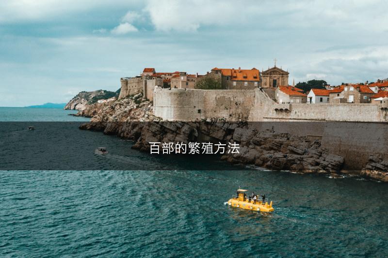 百部的繁殖方法(图1)