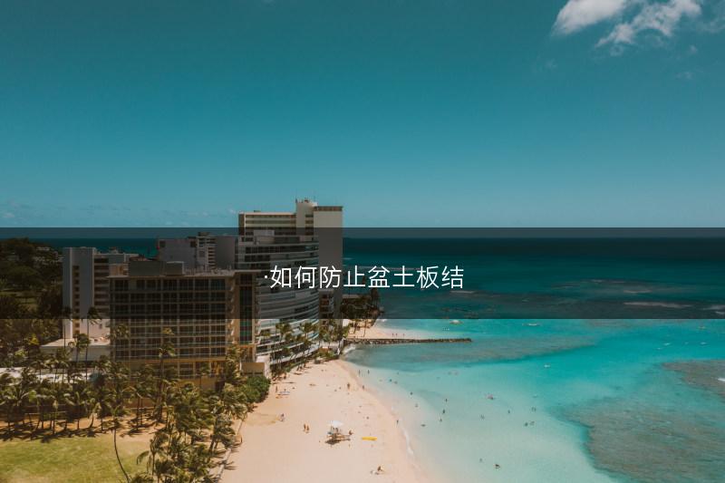 ·如何防止盆土板结(图1)