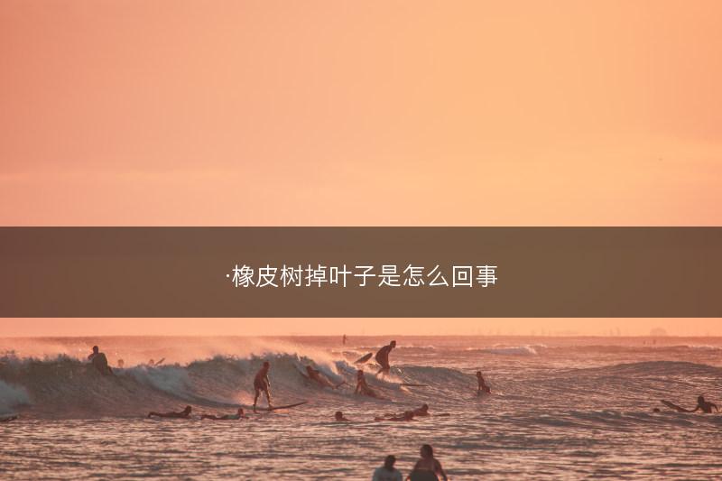 ·橡皮树掉叶子是怎么回事(图1)