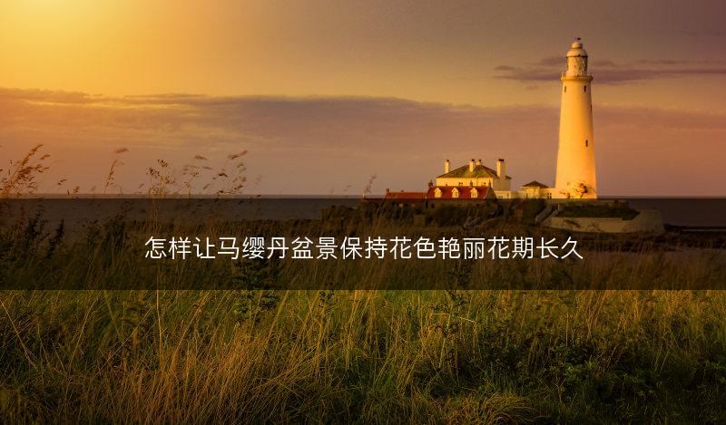怎样让马缨丹盆景保持花色艳丽花期长久(图1)