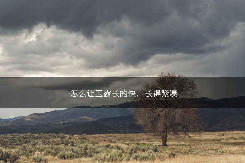 ·怎么让玉露长的快，长得紧凑(图1)