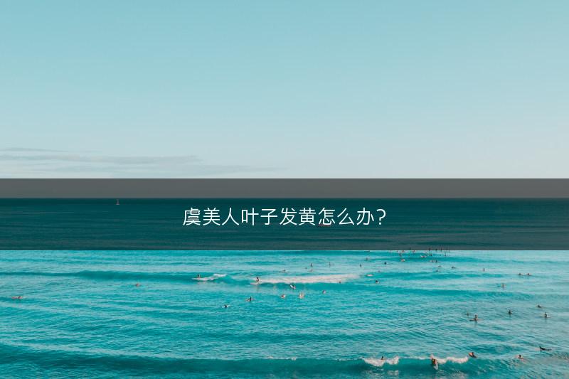 虞美人叶子发黄怎么办？(图1)
