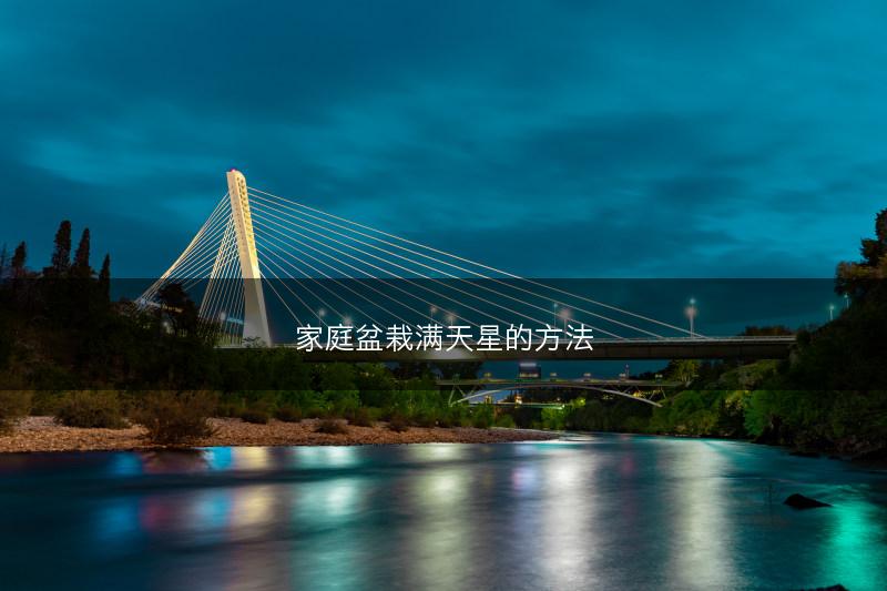 家庭盆栽满天星的方法(图1)