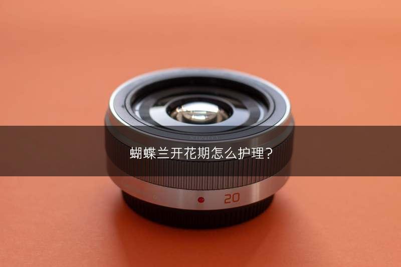 蝴蝶兰开花期怎么护理？(图1)