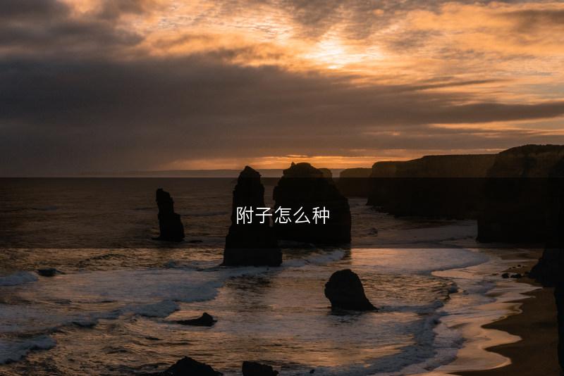 附子怎么种(图1)