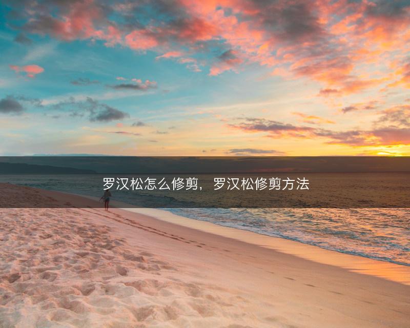 罗汉松怎么修剪，罗汉松修剪方法(图1)