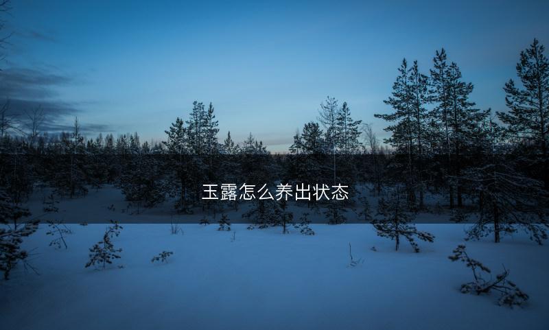 玉露怎么养出状态(图1)