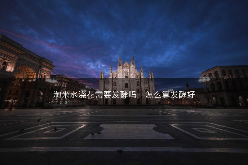 淘米水浇花需要发酵吗，怎么算发酵好(图1)