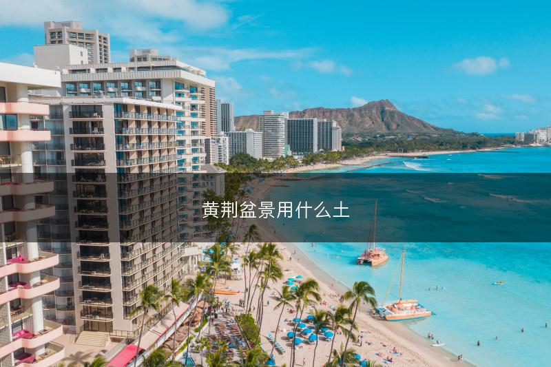 黄荆盆景用什么土(图1)