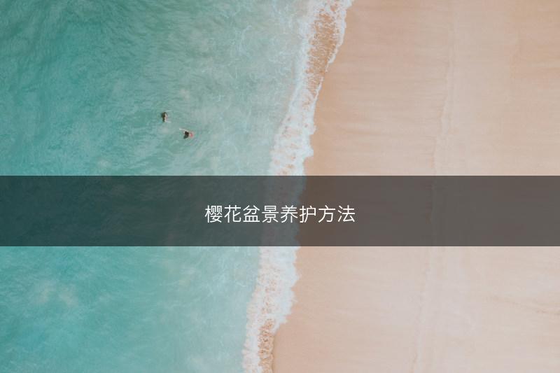 樱花盆景养护方法(图1)